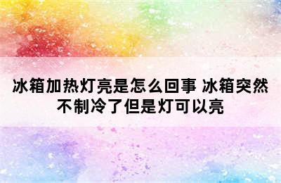 冰箱加热灯亮是怎么回事 冰箱突然不制冷了但是灯可以亮